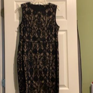 Cynthia Steffe Beautiful new dress